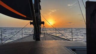 Owner’s Story: Into the Light
